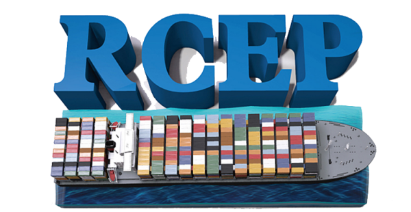 RCEP红利持续释放，推动各国互利共赢！