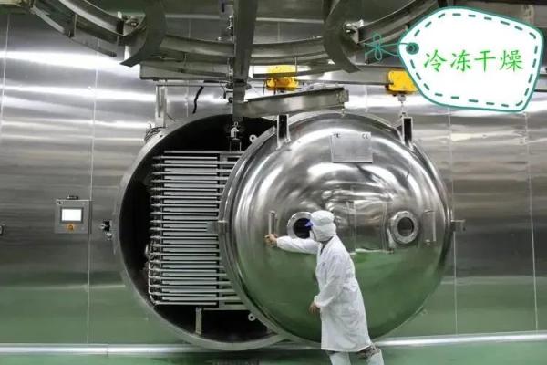 脱水蔬菜出口需要什么资质？（附详细办理流程）