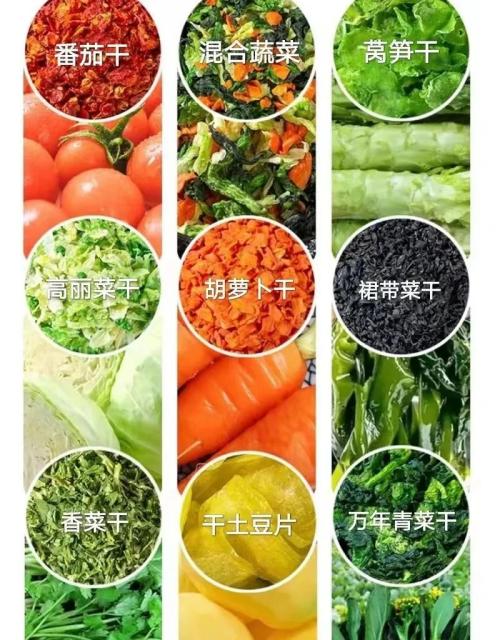 脱水蔬菜出口需要什么资质？（附详细办理流程）